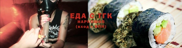 соль ск Дмитриев