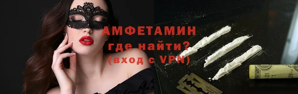 соль ск Дмитриев
