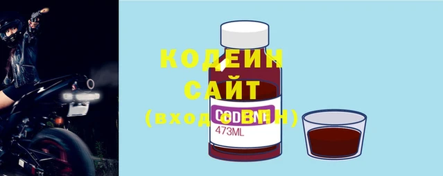 соль ск Дмитриев
