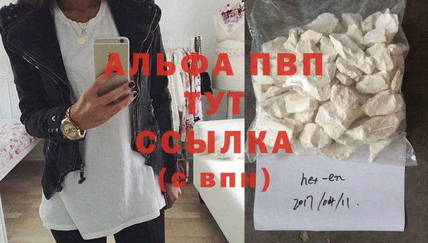 соль ск Дмитриев