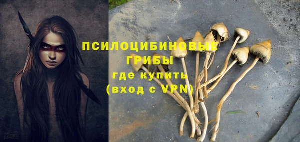 спайс Елабуга
